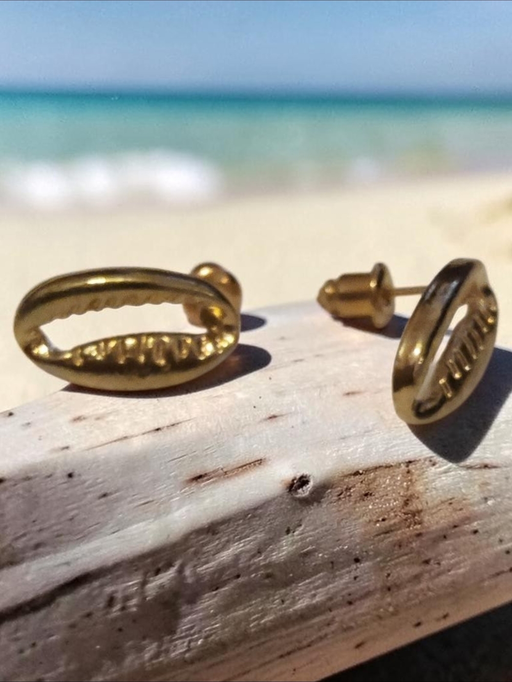 10 / $10 Gold Cowrie Shell Stud Earrings - Polished Brass Finish